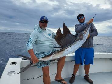 Dania Beach Report Photo 1