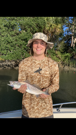 Hilton Head Island Report Photo 2