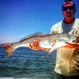 Lil Darlin Charters catching Bull Reds