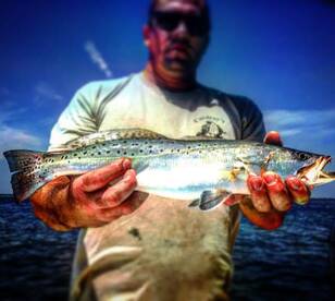 Charleston Report Photo 2