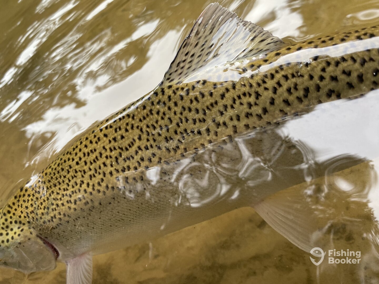 Baldwin Report Photo 0