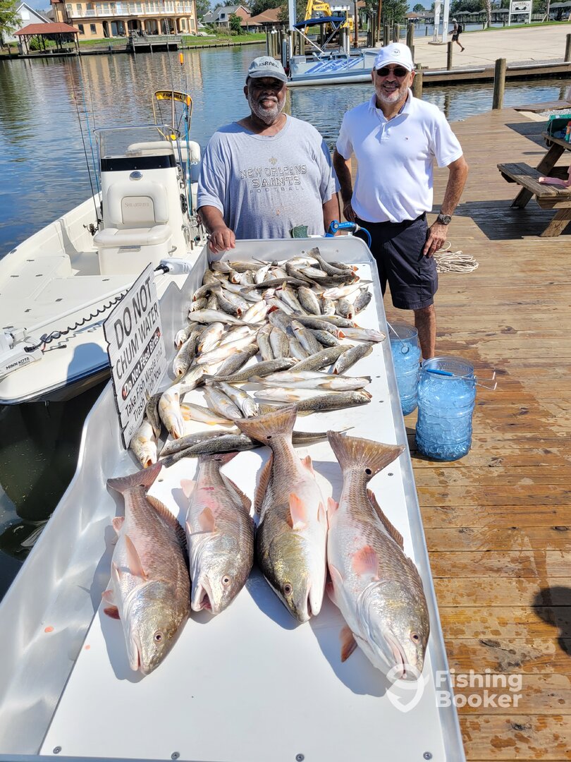 New Orleans Report Photo 0