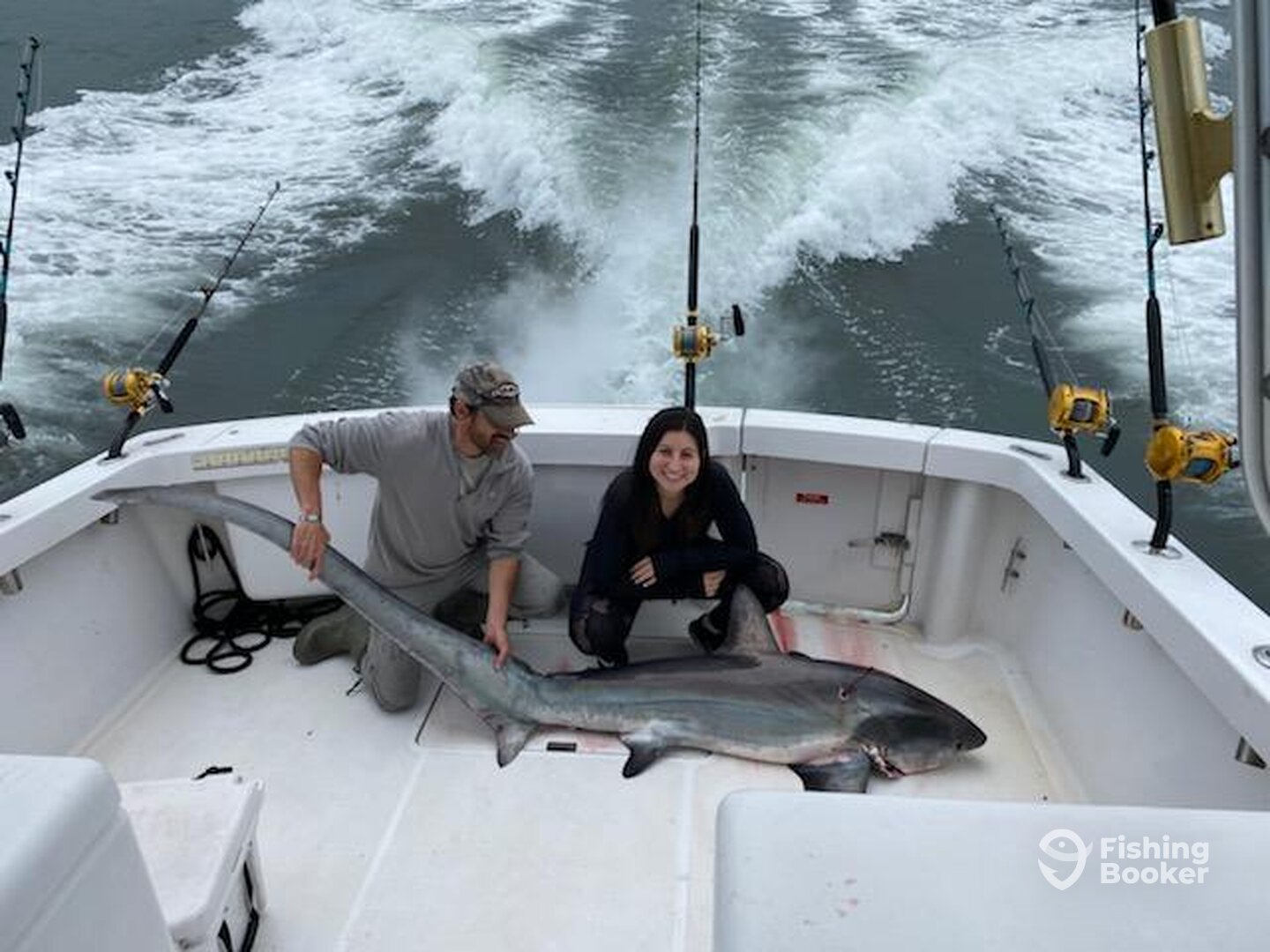 New York City Report Photo 0