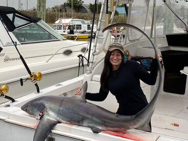 New York City Report Photo 1