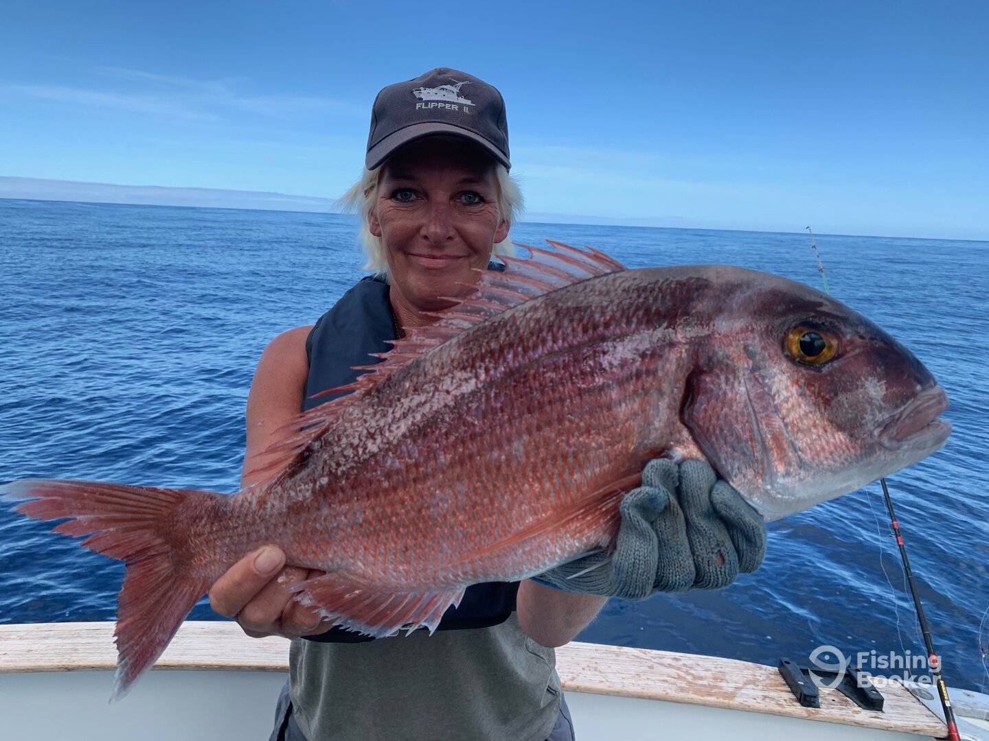 Pargo - Flipper II Madeira Big Game Fishing
