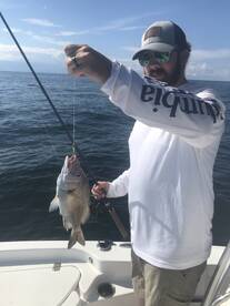 Fort Myers Report Photo 2