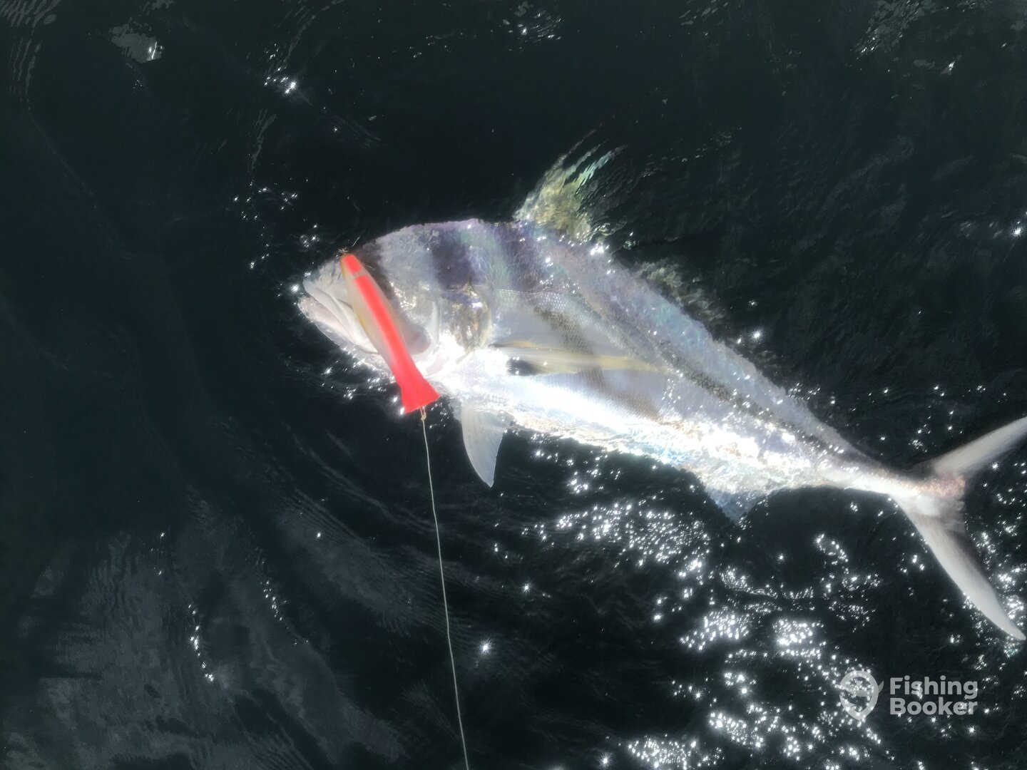 Paquera Report Photo 0