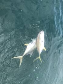 Paquera Report Photo 2