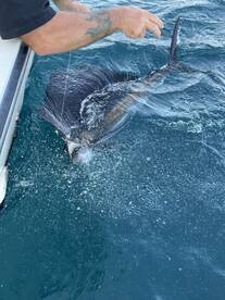 Fort Pierce Report Photo 2