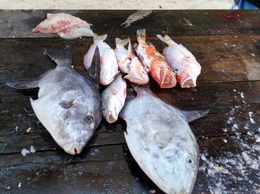 Playa Del Carmen Report Photo 1