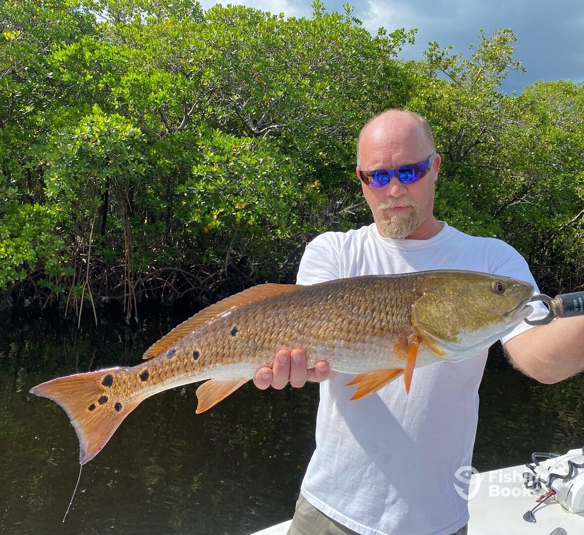 Fort Myers Report Photo 0