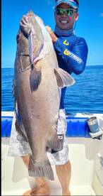 Cartagena de Indias Report Photo 2