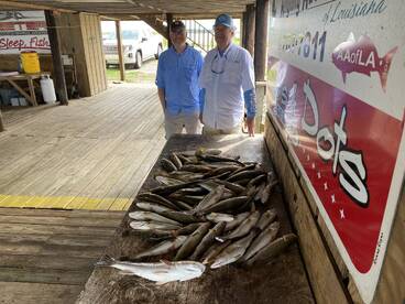 New Orleans Report Photo 2