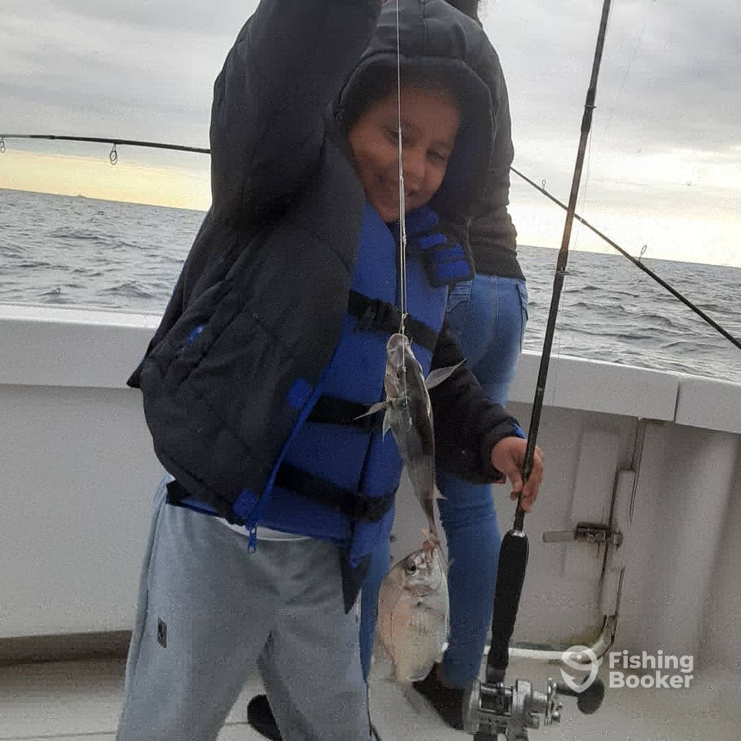 New York City Report Photo 0