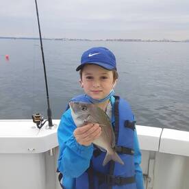 New York City Report Photo 1