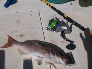 Kaštel Kambelovac Report Photo 1