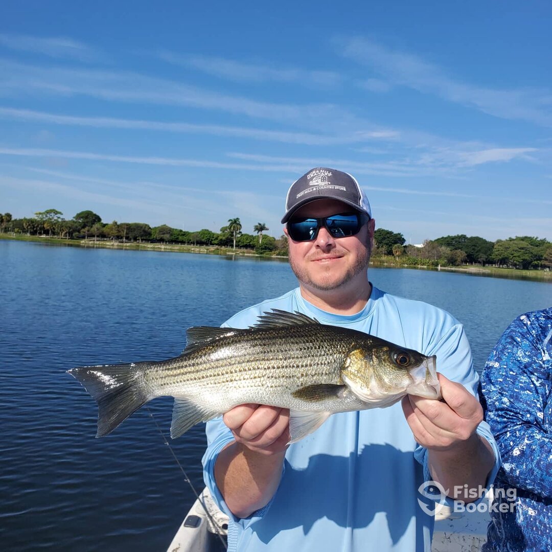 Delray Beach Report Photo 0