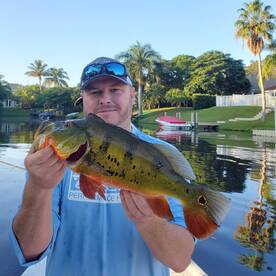 Delray Beach Report Photo 1