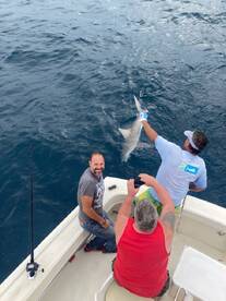 Fort Lauderdale Report Photo 2