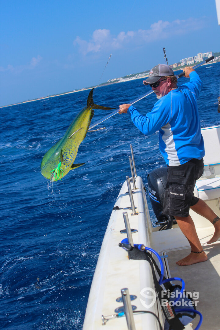 Money Shot. Mahi-Mahi coming in.