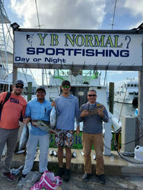 Dania Beach Report Photo 1