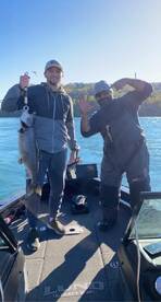 Youngstown Report Photo 1