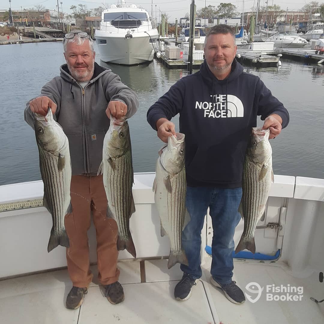 New York City Report Photo 0