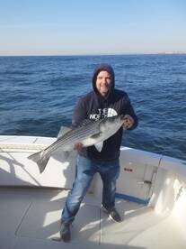 New York City Report Photo 1