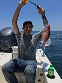 Jacksonville Report Photo 2