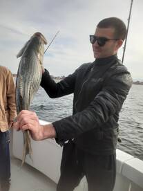 New York City Report Photo 2