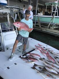 Venice Report Photo 1