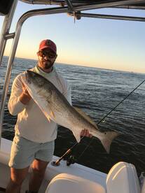 Venice Report Photo 1