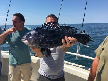 Monster seabass had to go back.