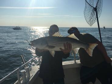 Great Action Today !