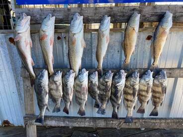 Port O'Connor Report Photo 1