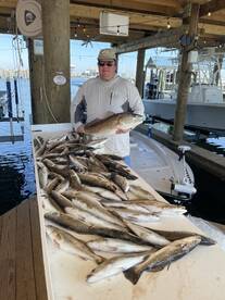 Pass Christian Report Photo 1