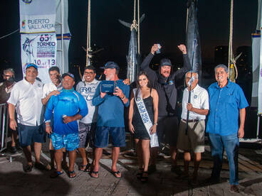 Puerto Vallarta Report Photo 2