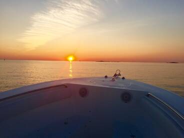 Boston Report Photo 1