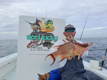 St. Petersburg Report Photo 1