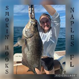 Triple tail are back in action Naples, F