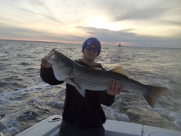 New York City Report Photo 2