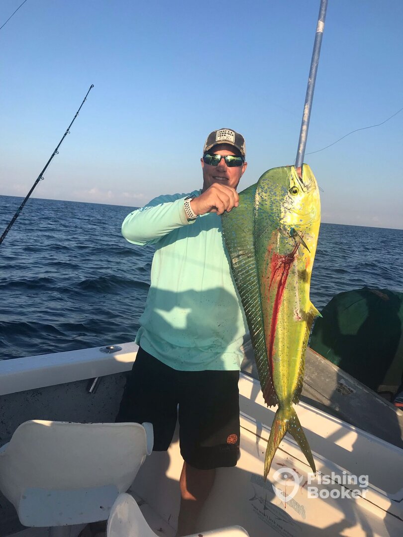 Mahi Mahi bite
