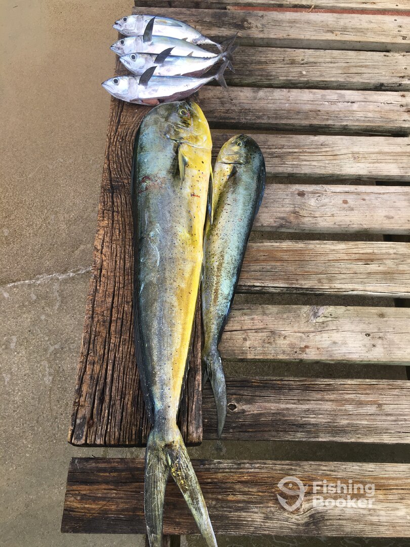 West End Report Photo 0