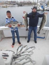 New York City Report Photo 1