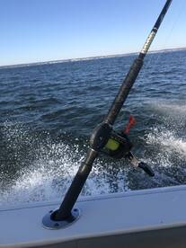 Clinton Report Photo 2