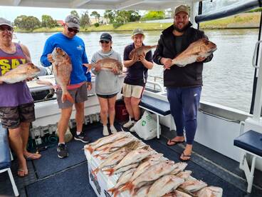 Crazy Snapper fishing. Great to see a fa