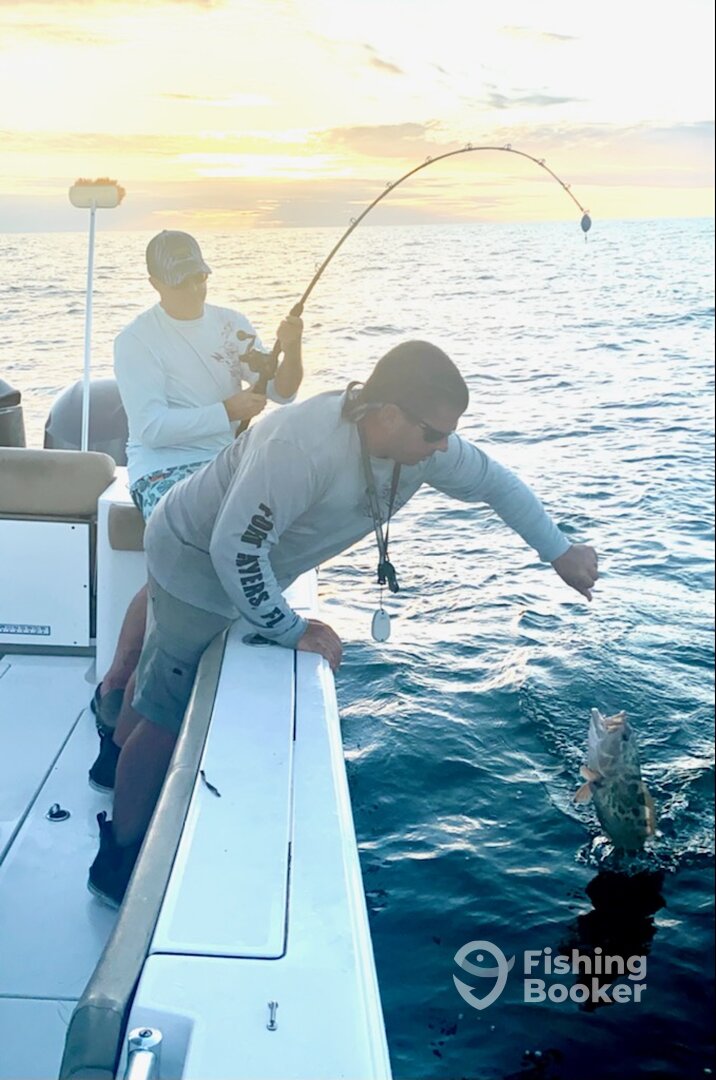 Grouper Fishing Florida