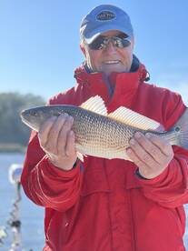 Darien Report Photo 1