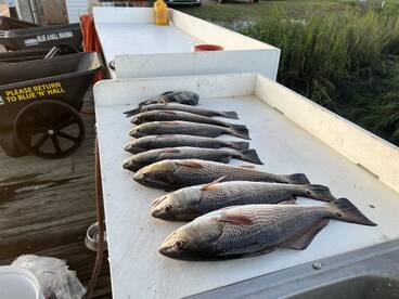 Darien Report Photo 2