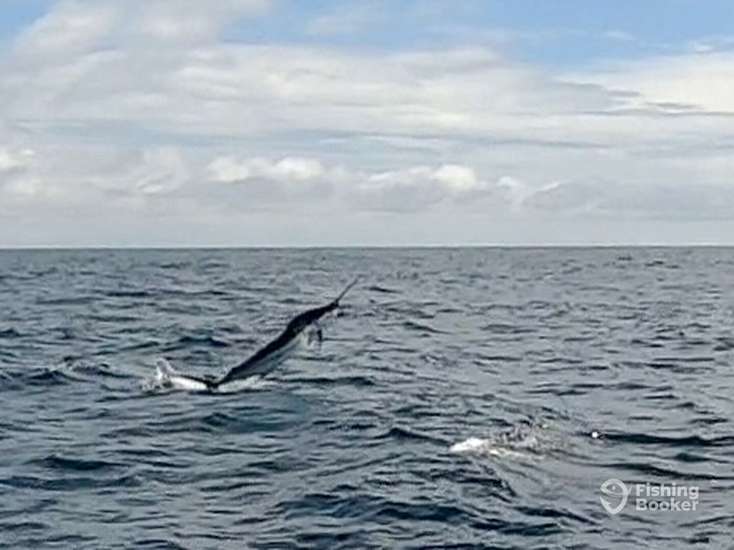 Quepos Report Photo 0